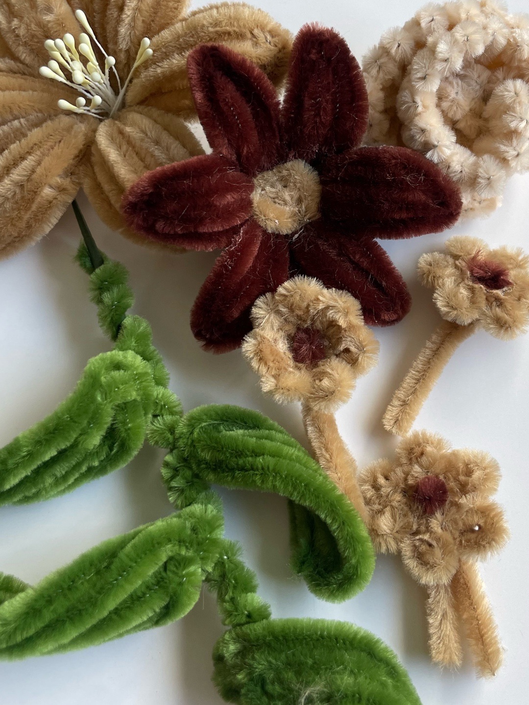 sonbahar-cerceve-cok-renkli