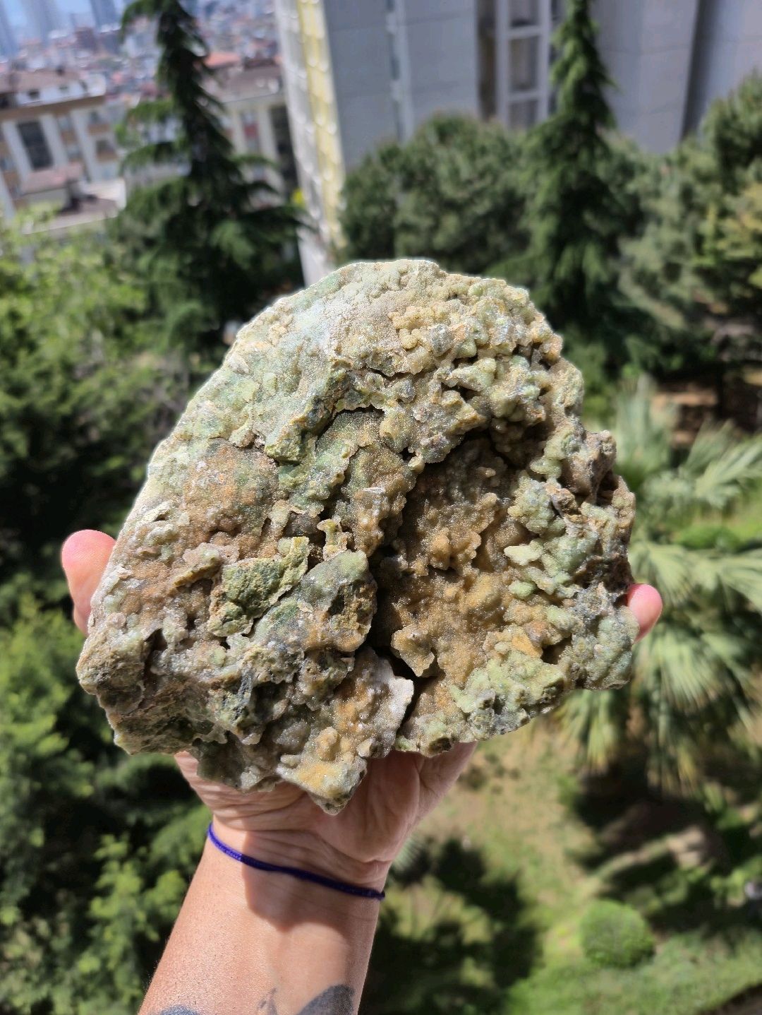 krizopras