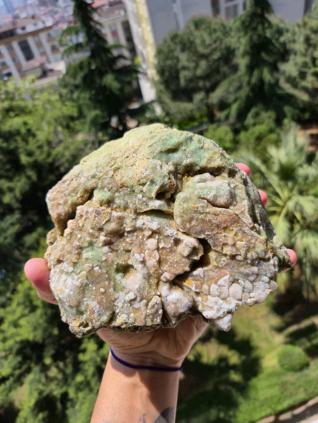 krizopras