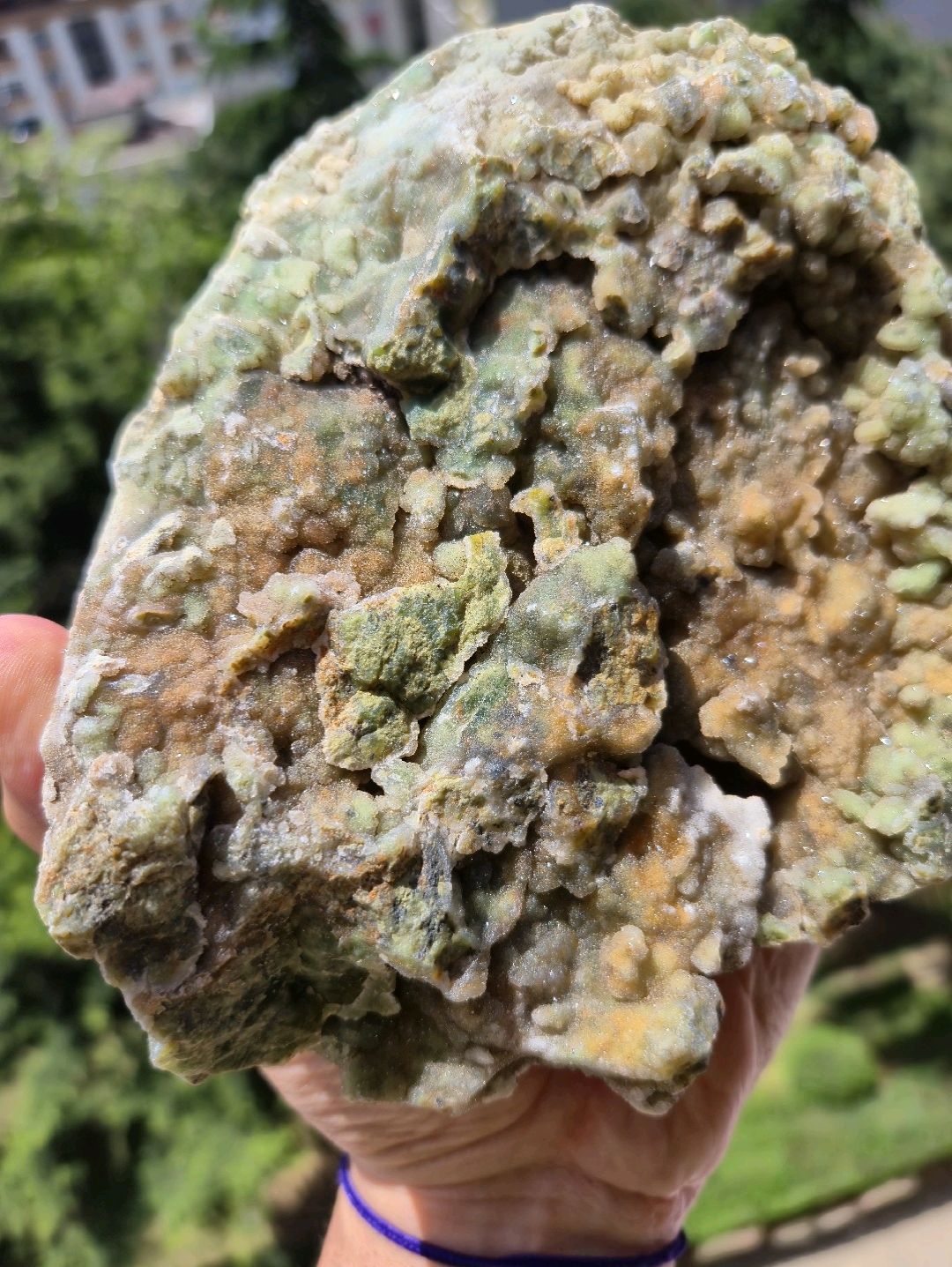 krizopras