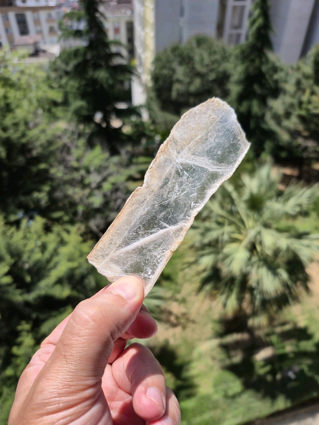 gypsum