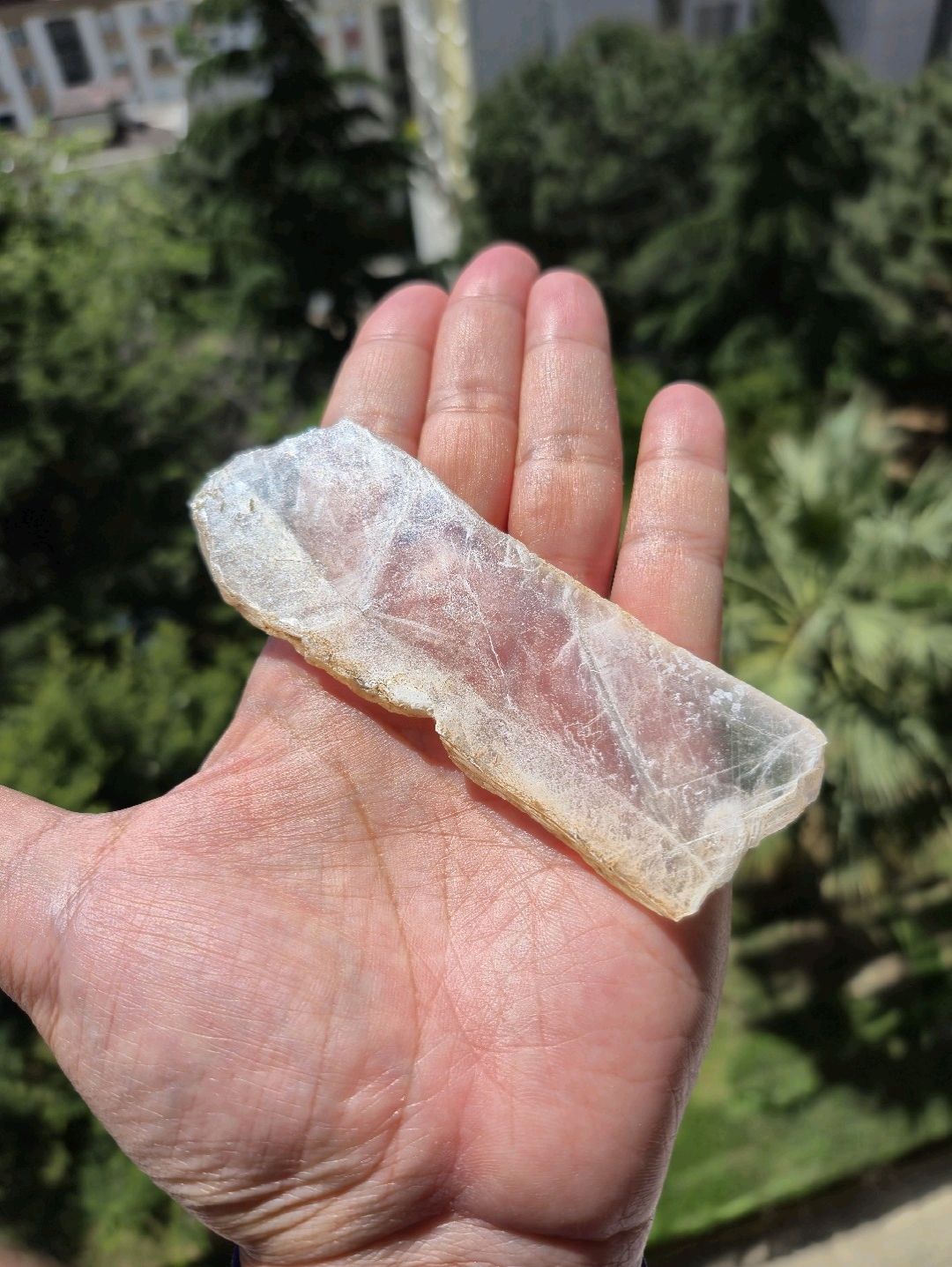gypsum