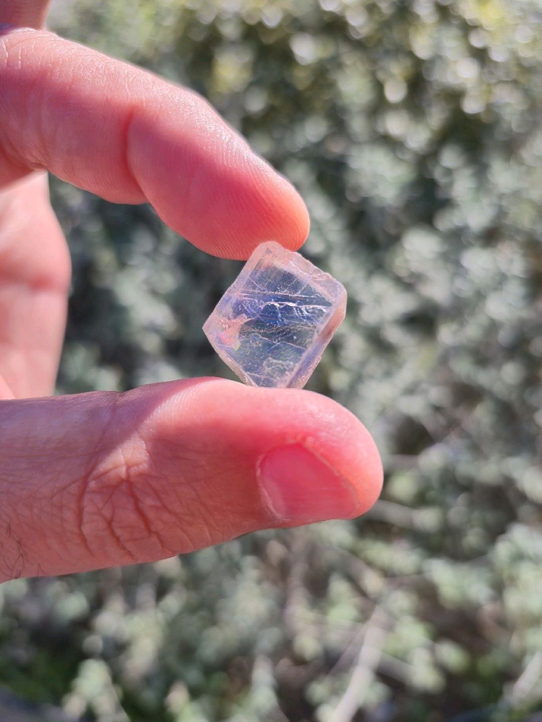 optical-kalsit-iceland-spar