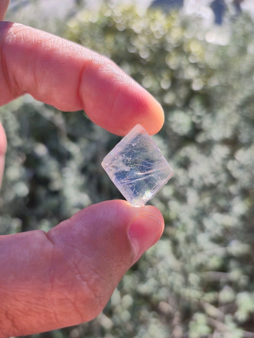 optical-kalsit-iceland-spar
