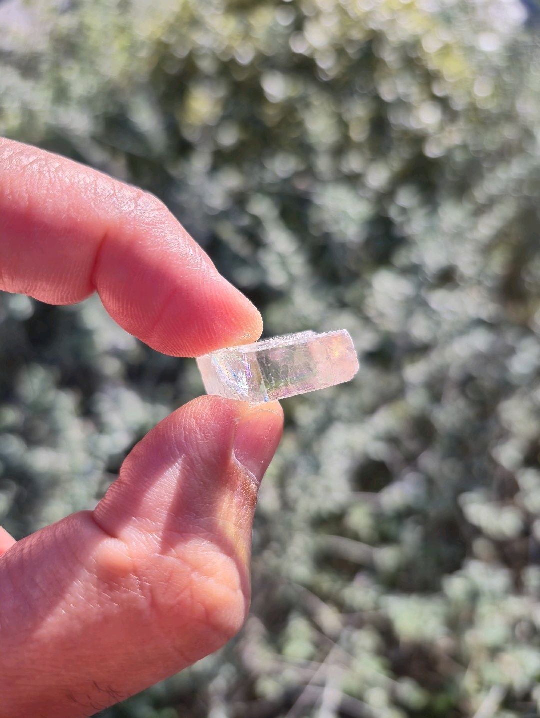 optical-kalsit-iceland-spar