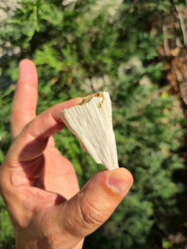 Scolecite Raw Doğal Taş