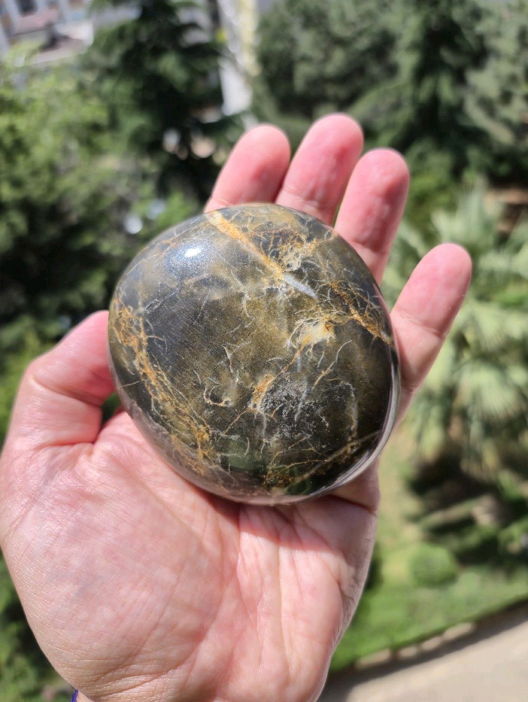 black-yellow-dot-jasper