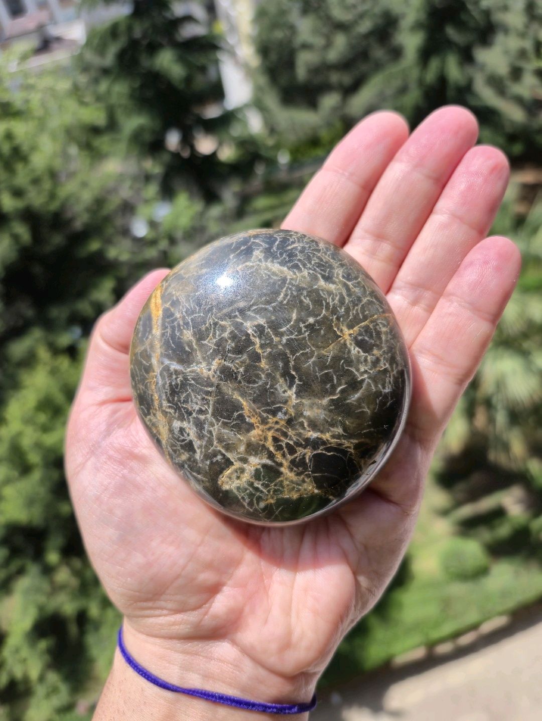 black-yellow-dot-jasper