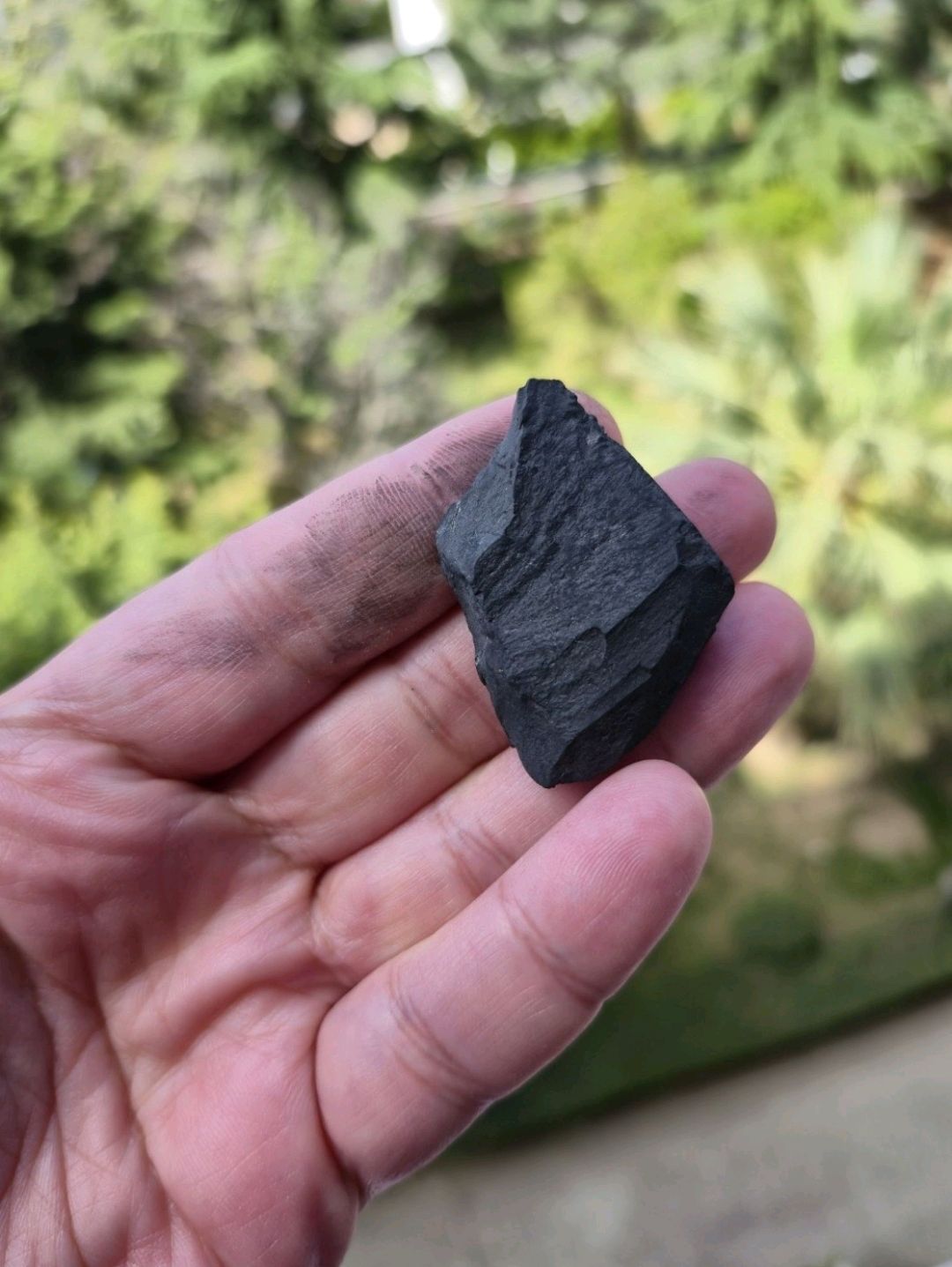 sungit-sungit-shungite-tasi
