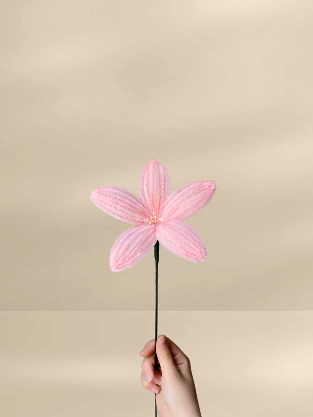 sonil-zambak-pembe