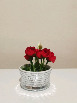 Kırmızı Çiçekli Saksı Kırmızı