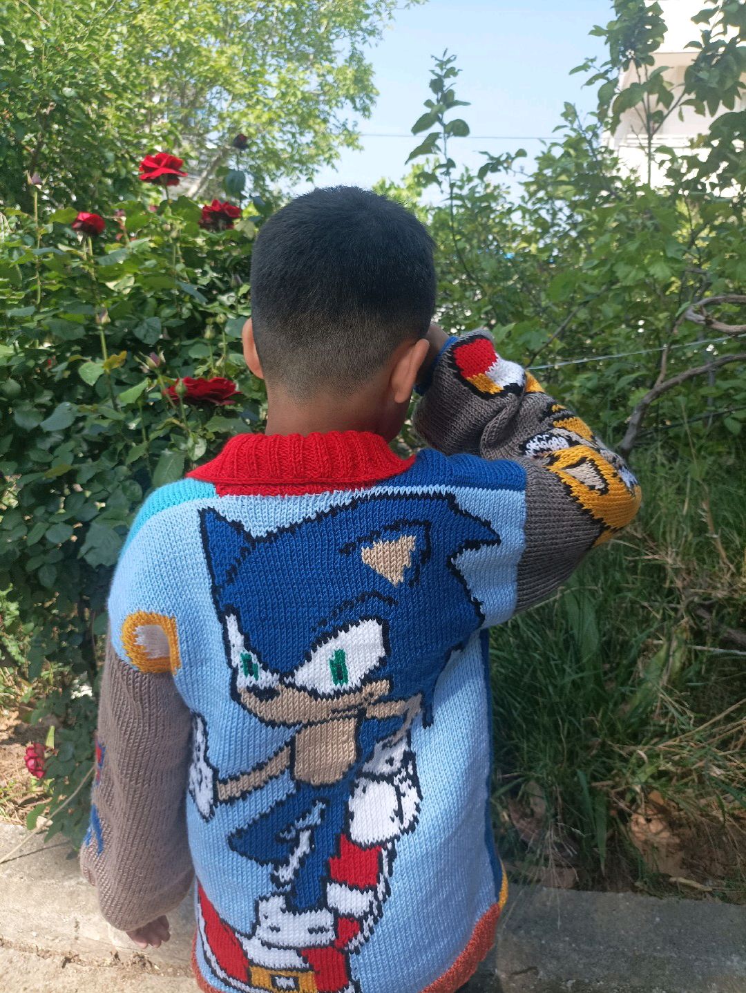 erkek-sonic-hirkamiz-cok-renkli