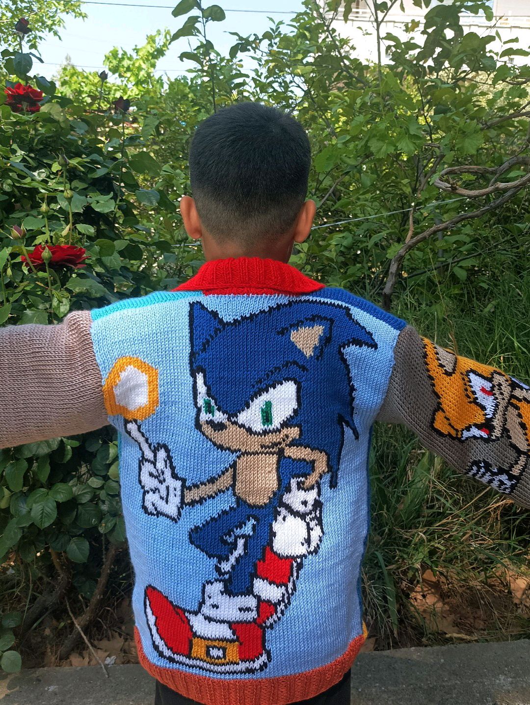 erkek-sonic-hirkamiz-cok-renkli