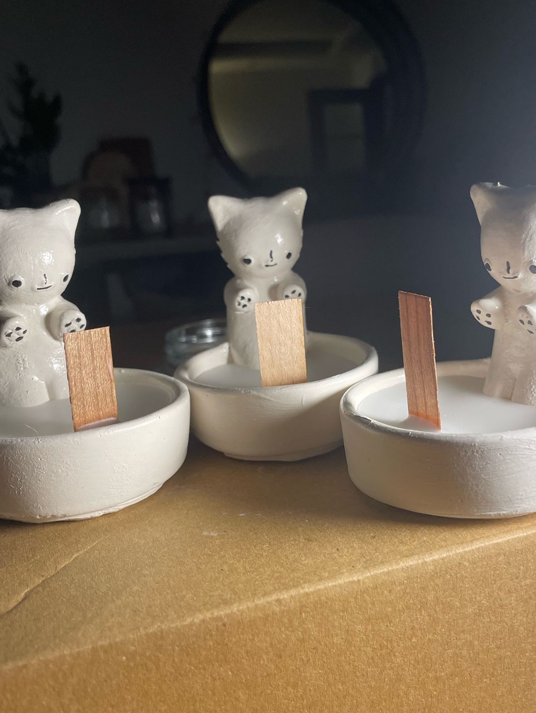 uc-isinan-kedi-soya-mumu-bej