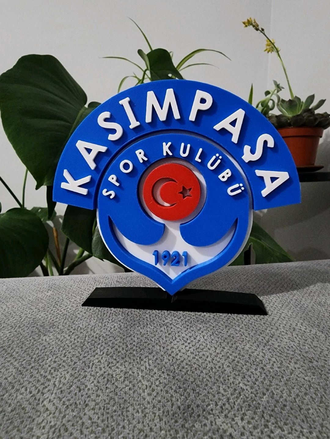 kasimpasa-buyuk-tip-logo-cok-renkli