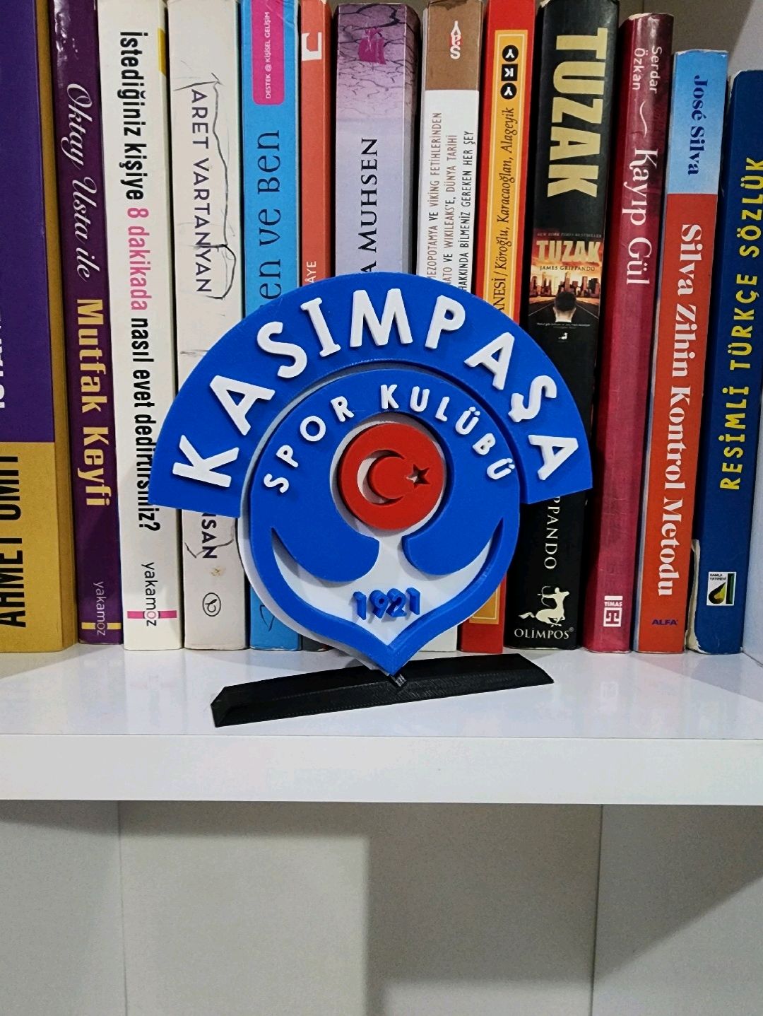 kasimpasa-buyuk-tip-logo-cok-renkli