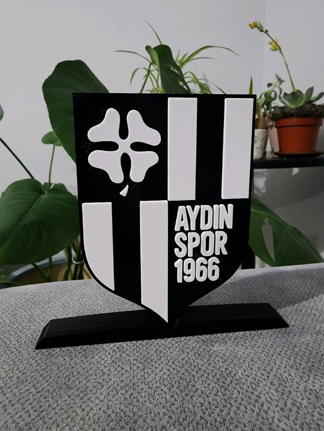 aydinspor-logo-cok-renkli