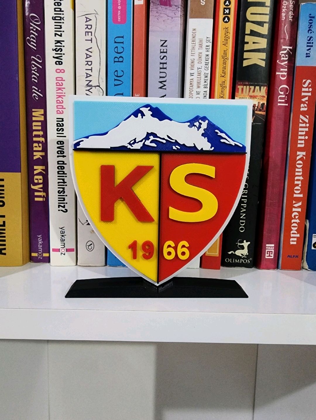 kayserispor-logo-cok-renkli