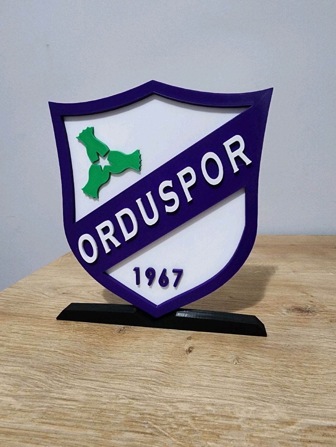 orduspor-buyuk-tip-logo-cok-renkli