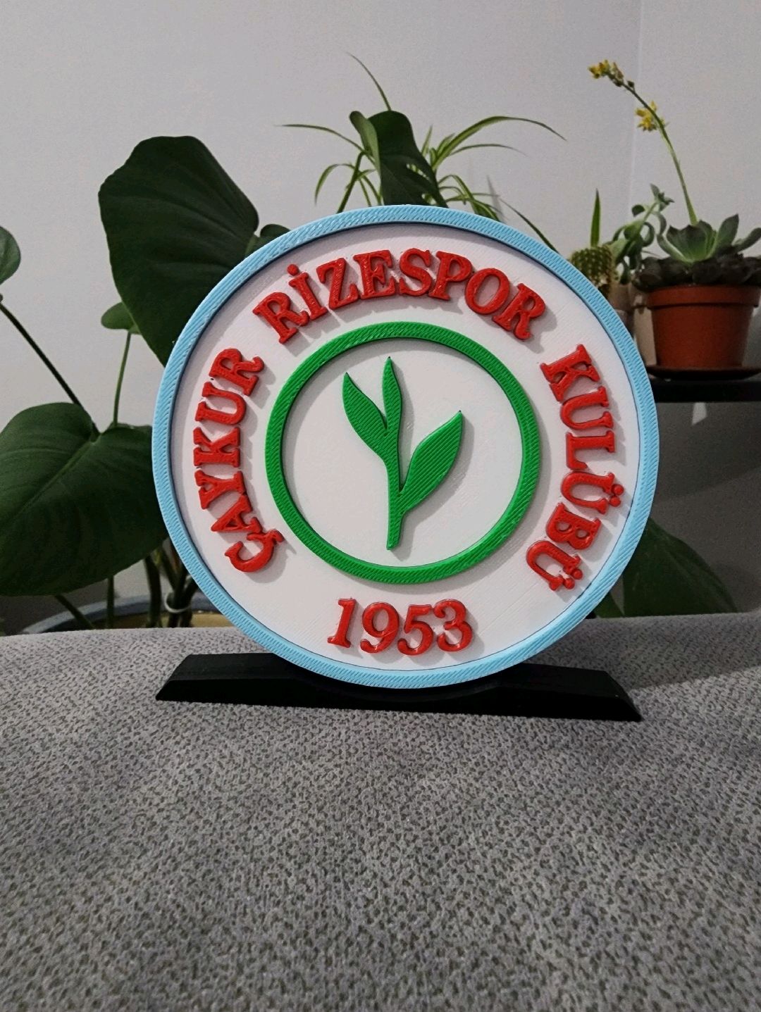 rizespor-buyuk-tip-logo-cok-renkli