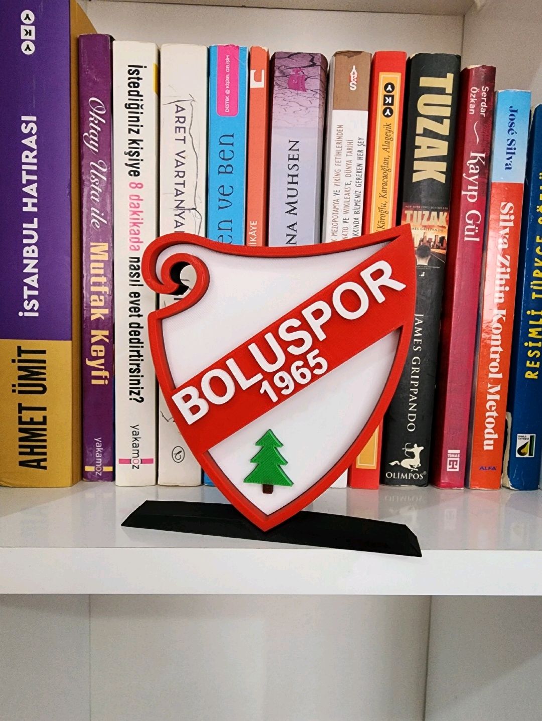 boluspor-buyuk-tip-logo-cok-renkli