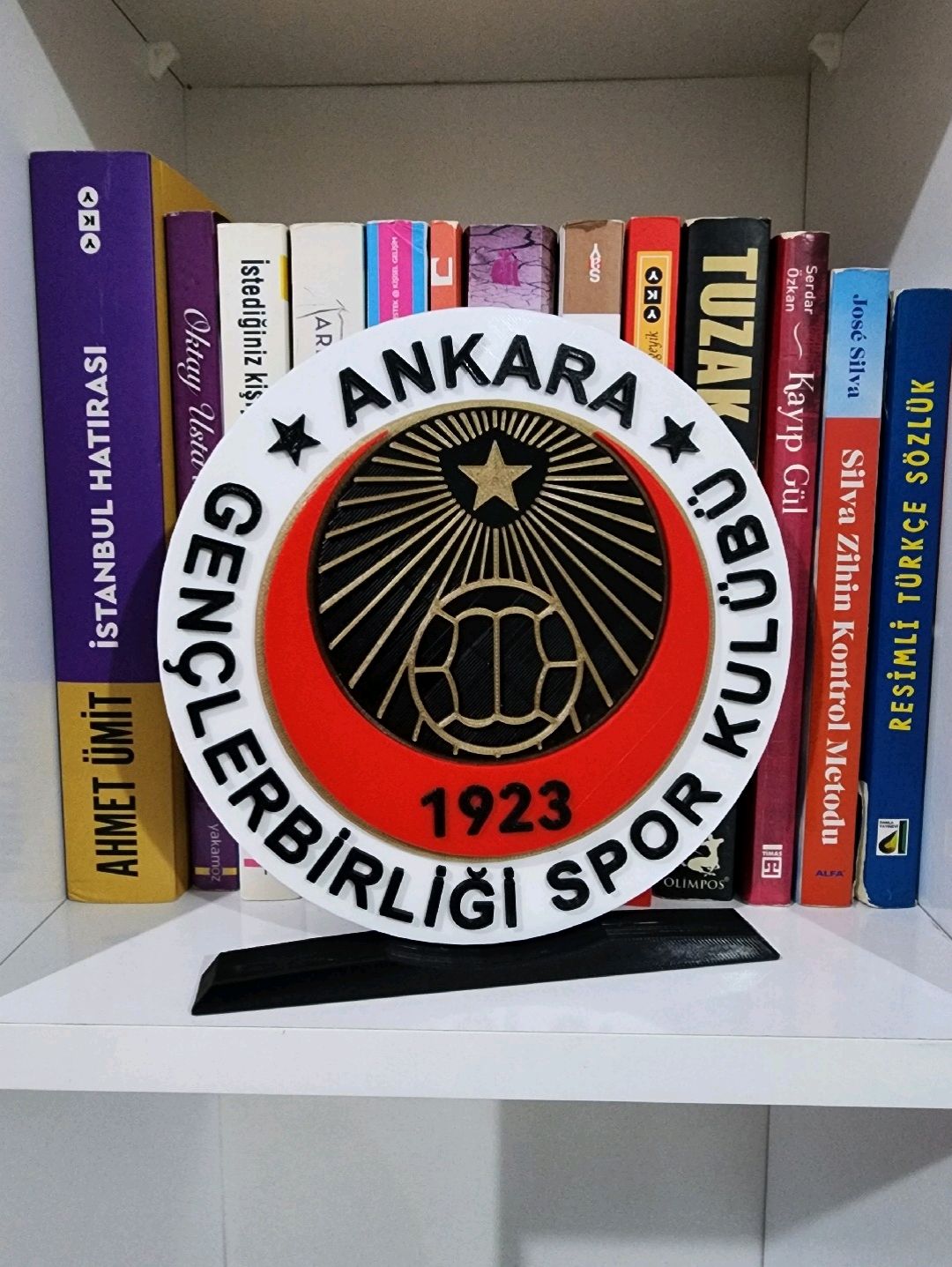 ankara-genclerbirligi-buyuk-tip-logo-cok-renkli