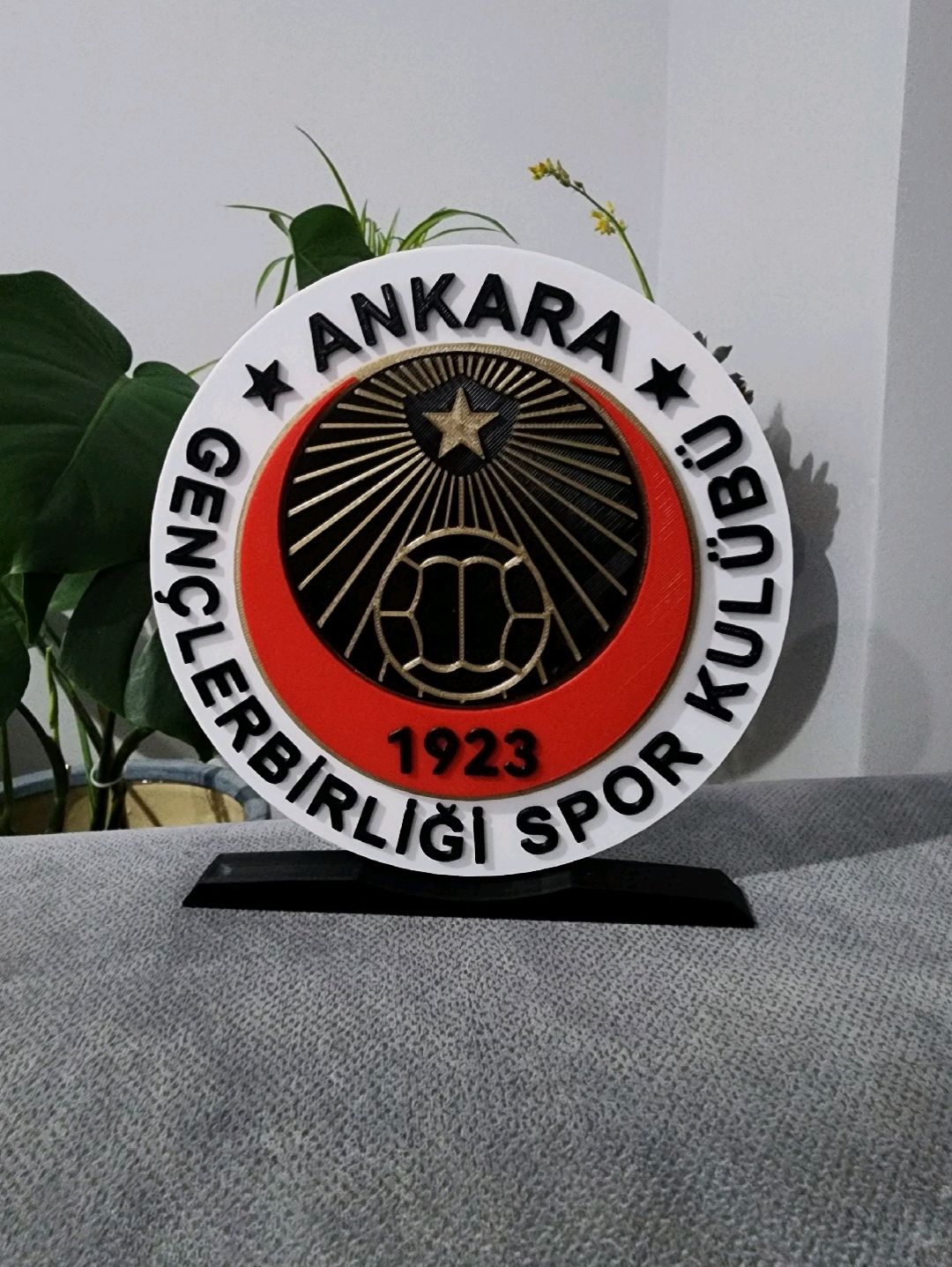 ankara-genclerbirligi-buyuk-tip-logo-cok-renkli