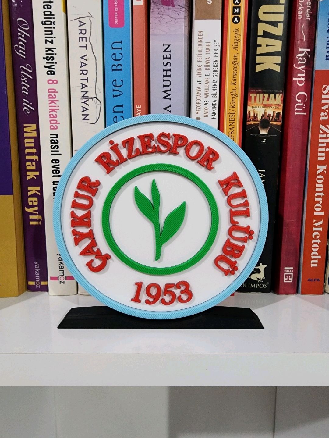 rizespor-logo-cok-renkli