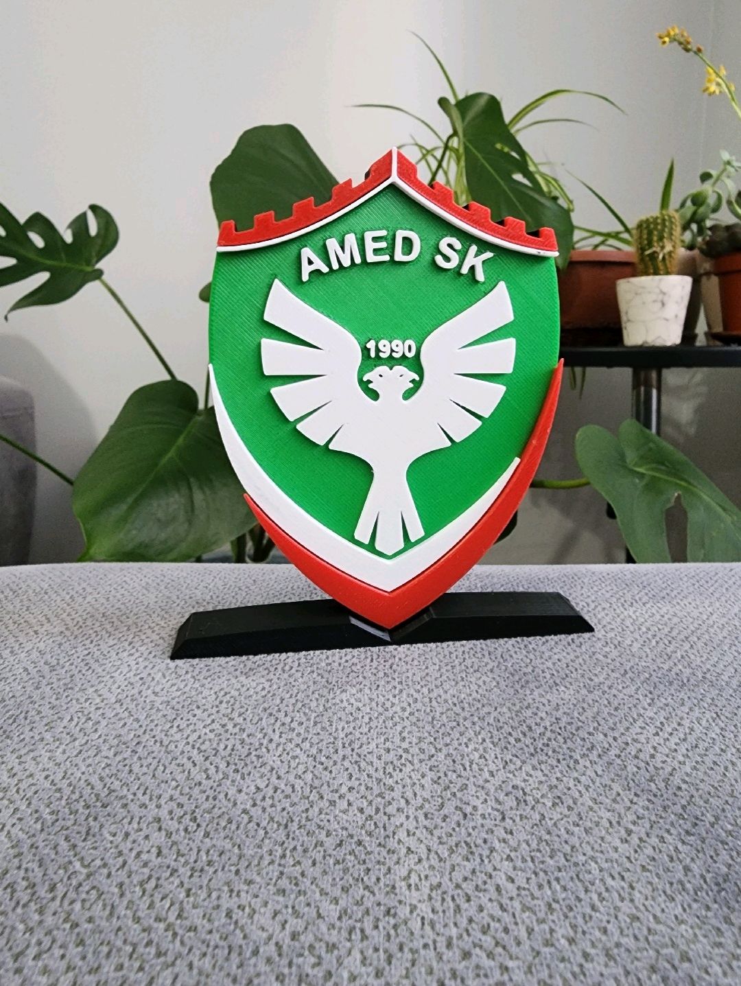 amed-sk-buyuk-tip-logo-cok-renkli