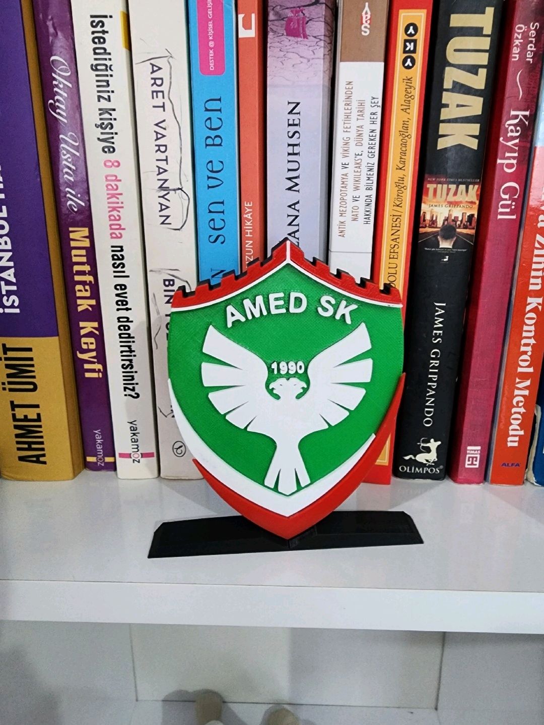 amed-sk-buyuk-tip-logo-cok-renkli