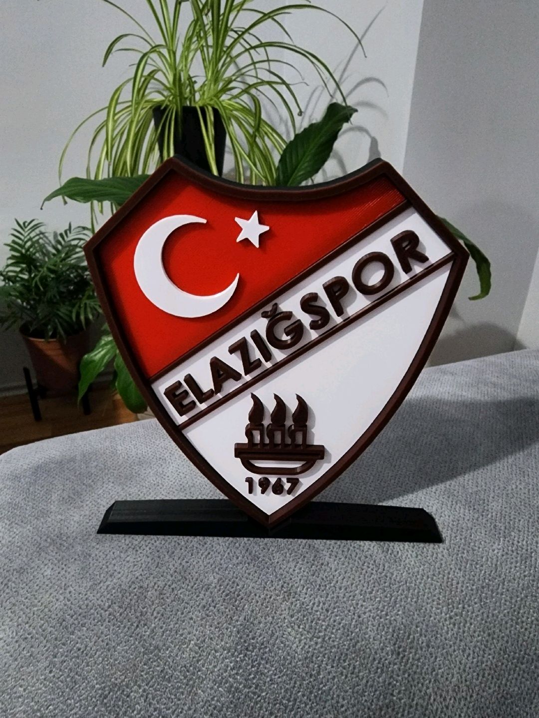 elazigspor-buyuk-tip-logo-cok-renkli