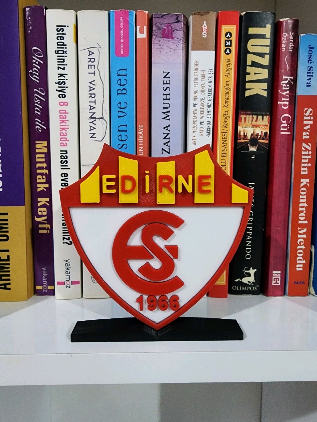 edirnespor-logo-cok-renkli