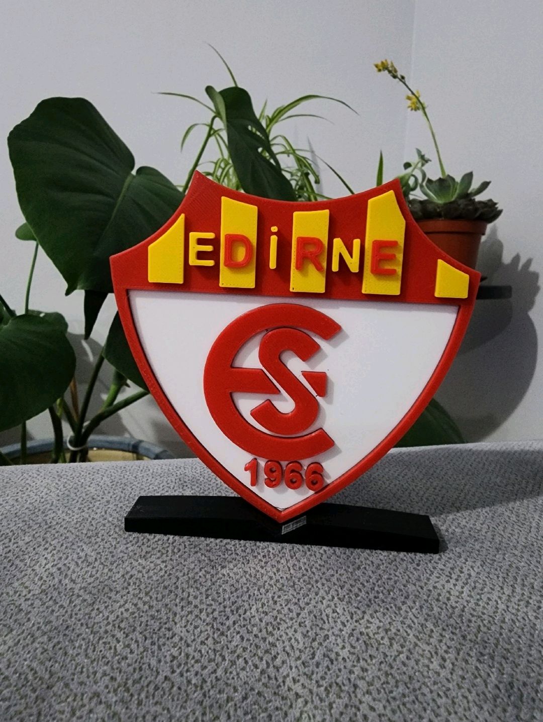 edirnespor-logo-cok-renkli