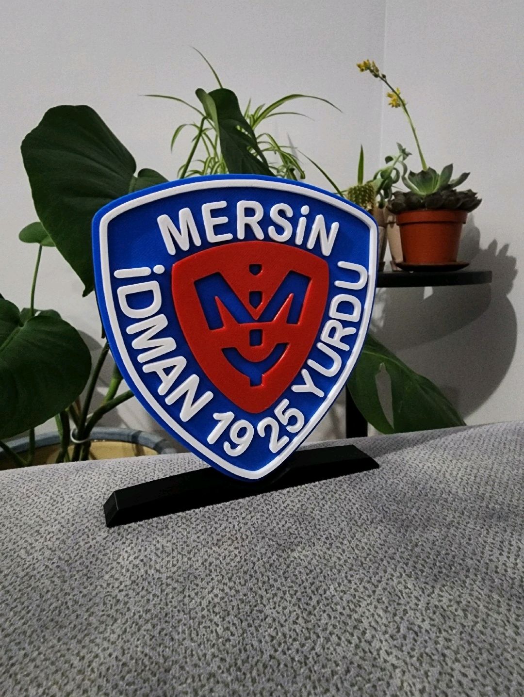 mersinspor-buyuk-tip-logo-cok-renkli