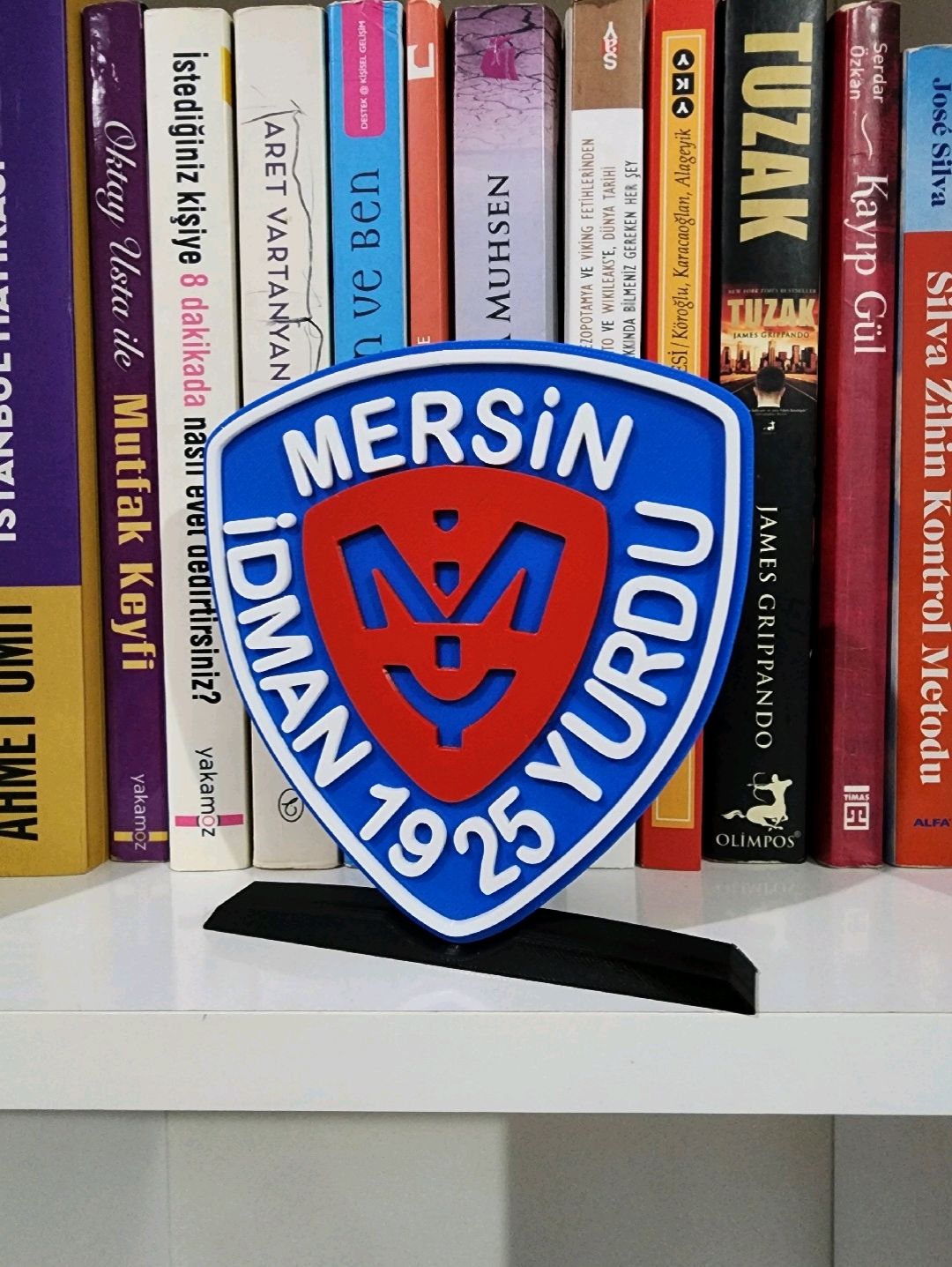mersinspor-buyuk-tip-logo-cok-renkli