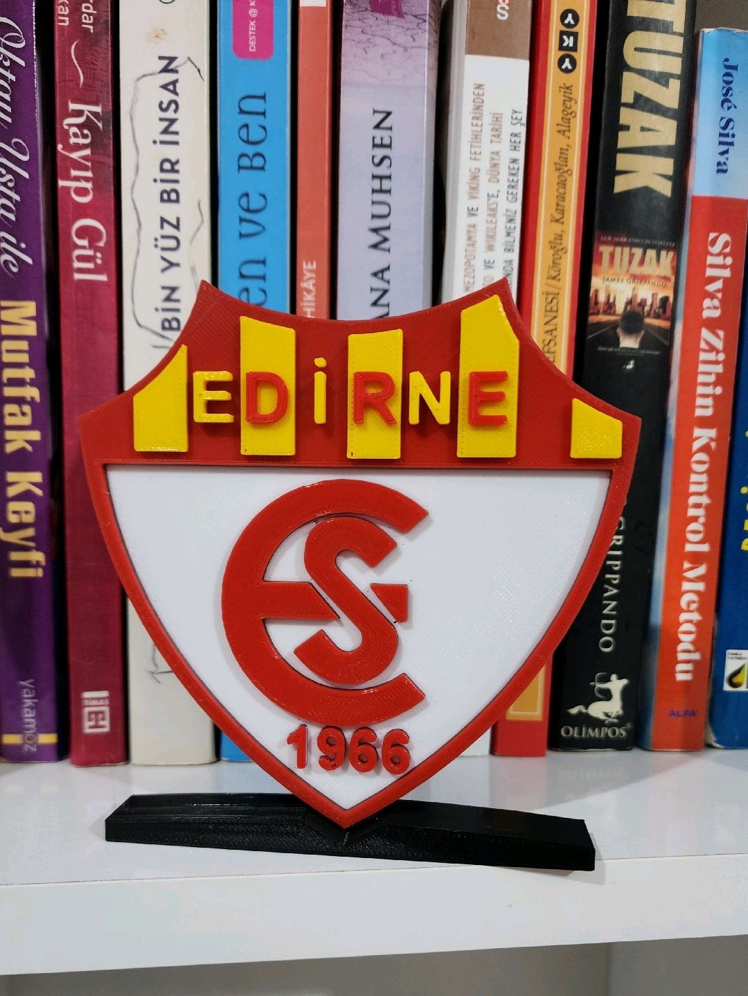 edirnespor-logo-cok-renkli