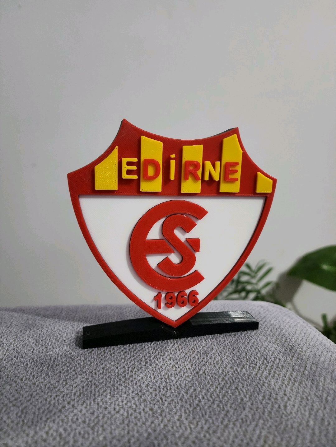 edirnespor-logo-cok-renkli