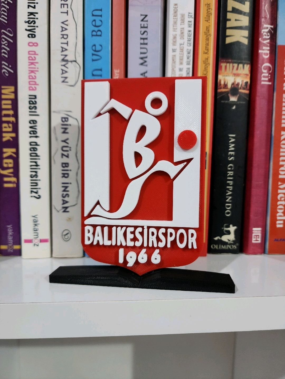 balikesirspor-buyuk-tip-logo-cok-renkli