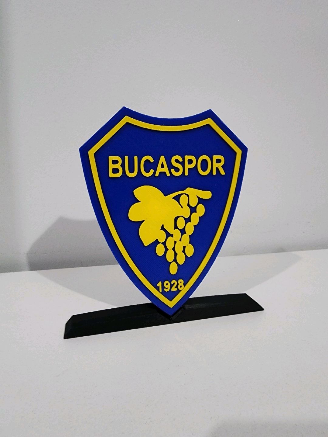 bucaspor-logo-cok-renkli