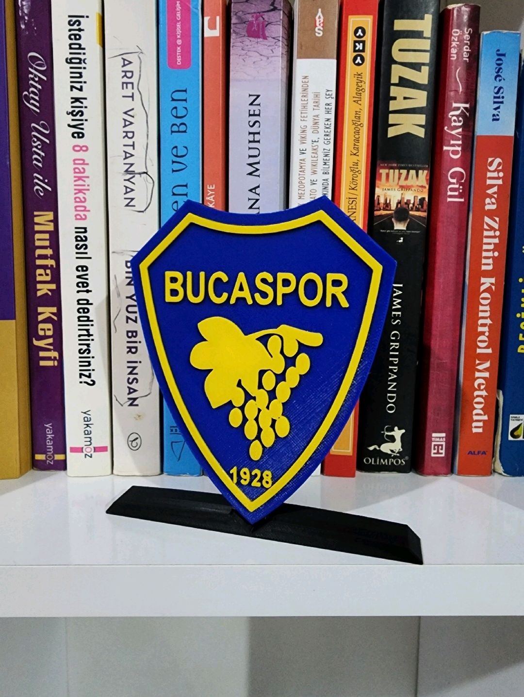 bucaspor-logo-cok-renkli