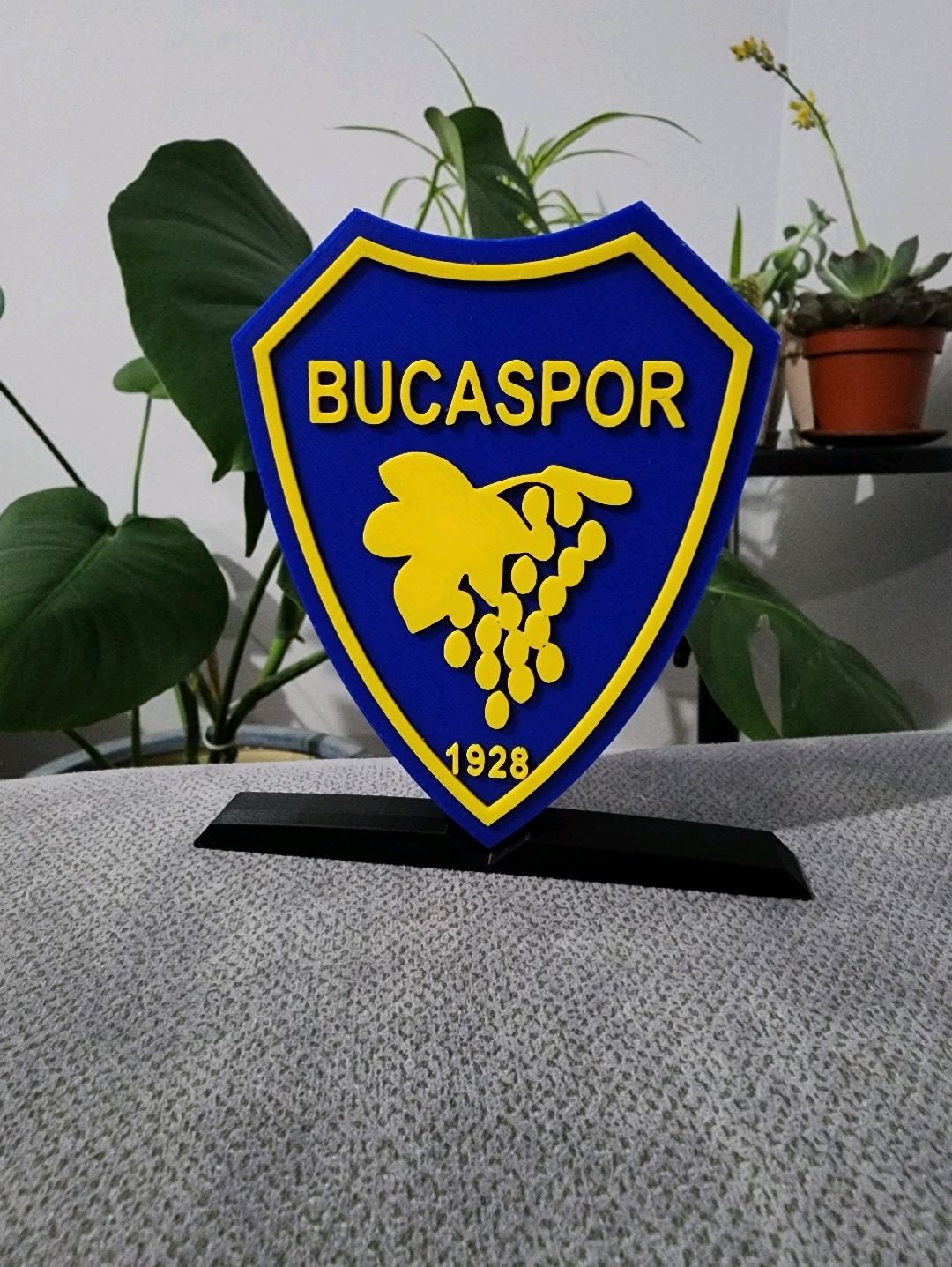 bucaspor-logo-cok-renkli