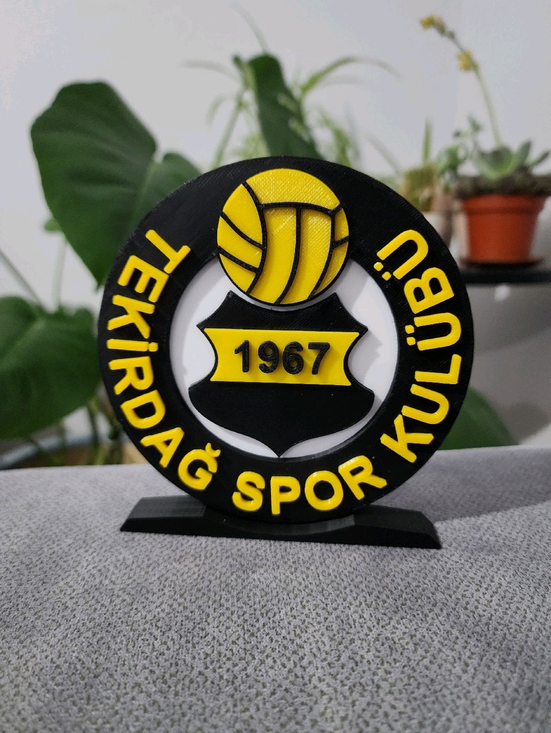 tekirdagspor-buyuk-tip-logo-cok-renkli