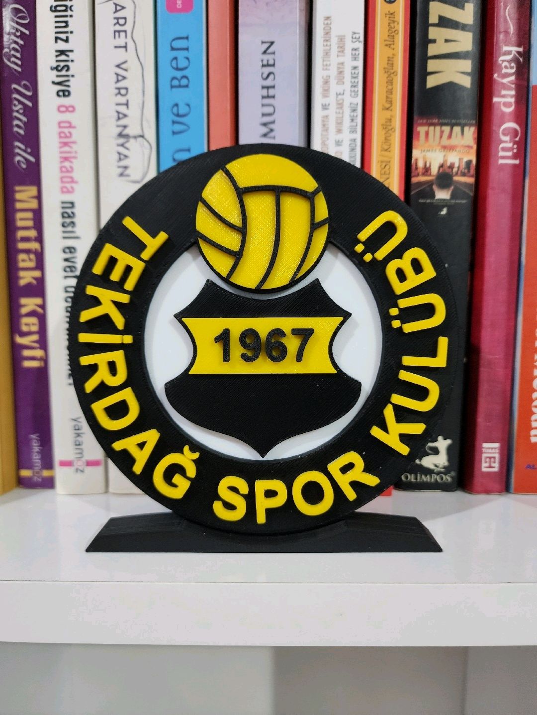 tekirdagspor-buyuk-tip-logo-cok-renkli