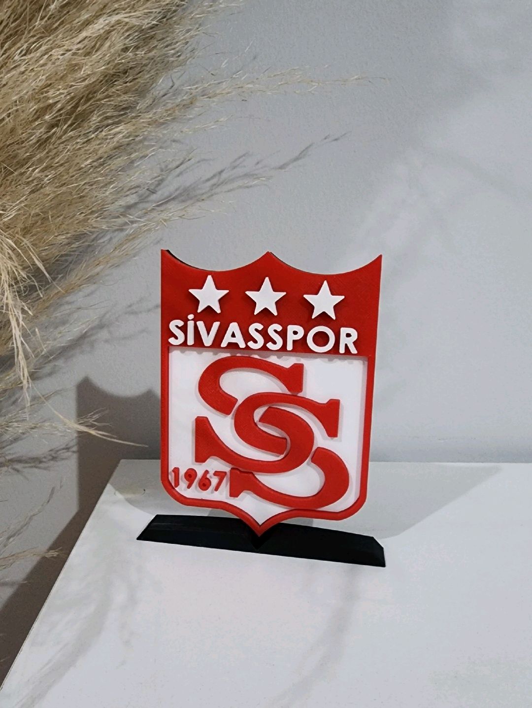 sivasspor-buyuk-tip-logo-cok-renkli