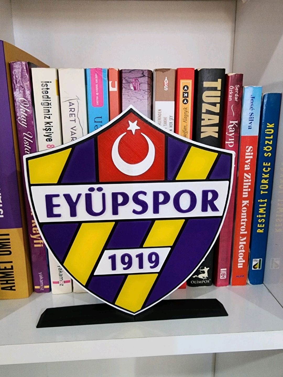 eyupspor-buyuk-tip-logo-cok-renkli