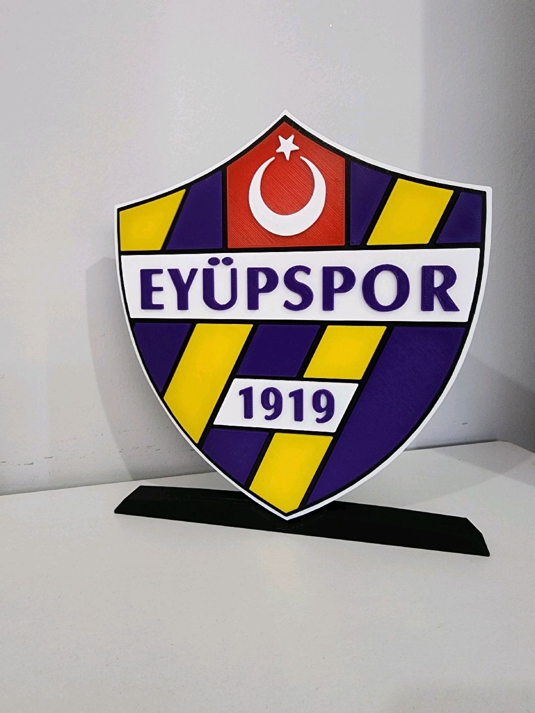 eyupspor-buyuk-tip-logo-cok-renkli