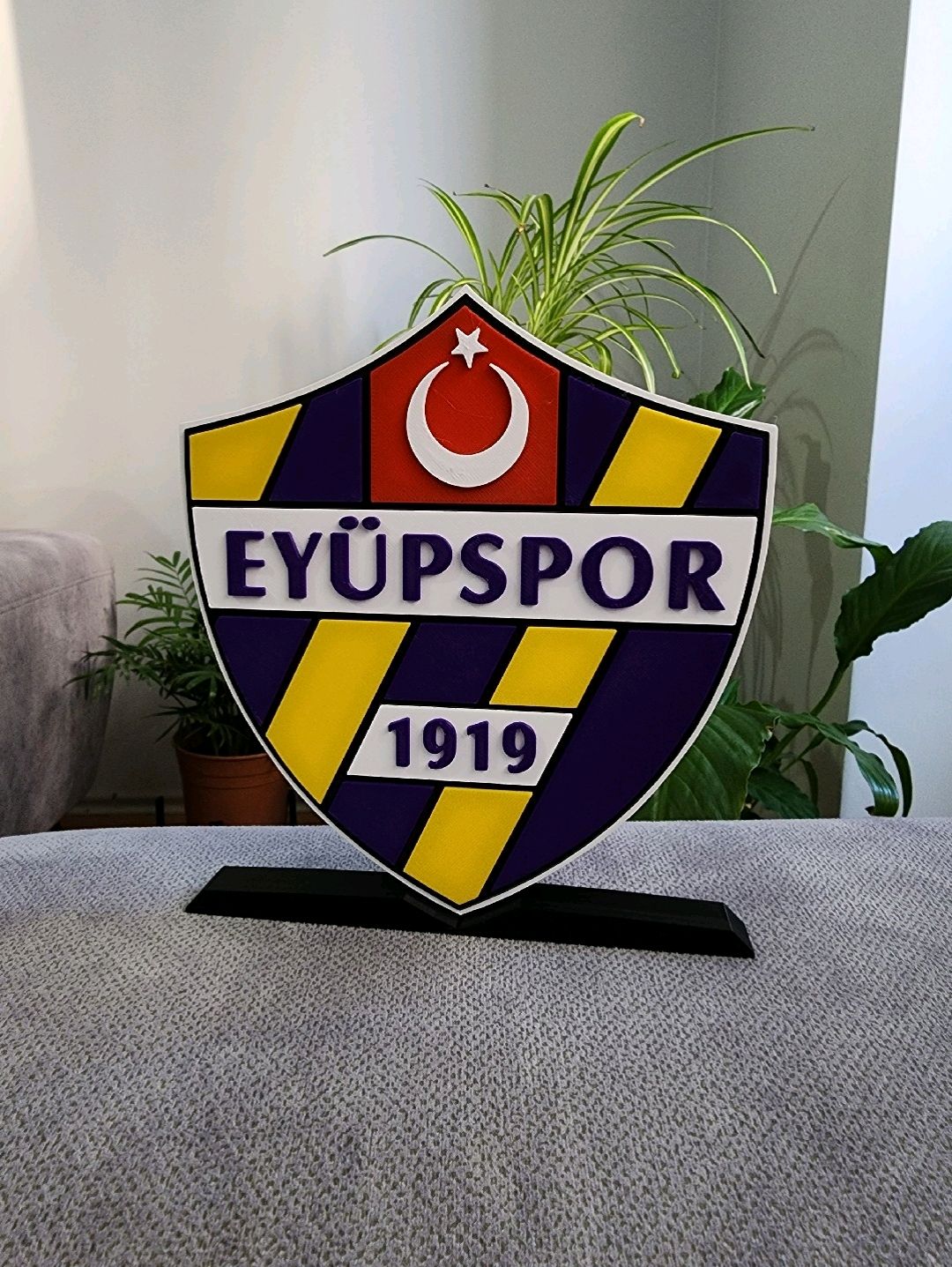 eyupspor-buyuk-tip-logo-cok-renkli