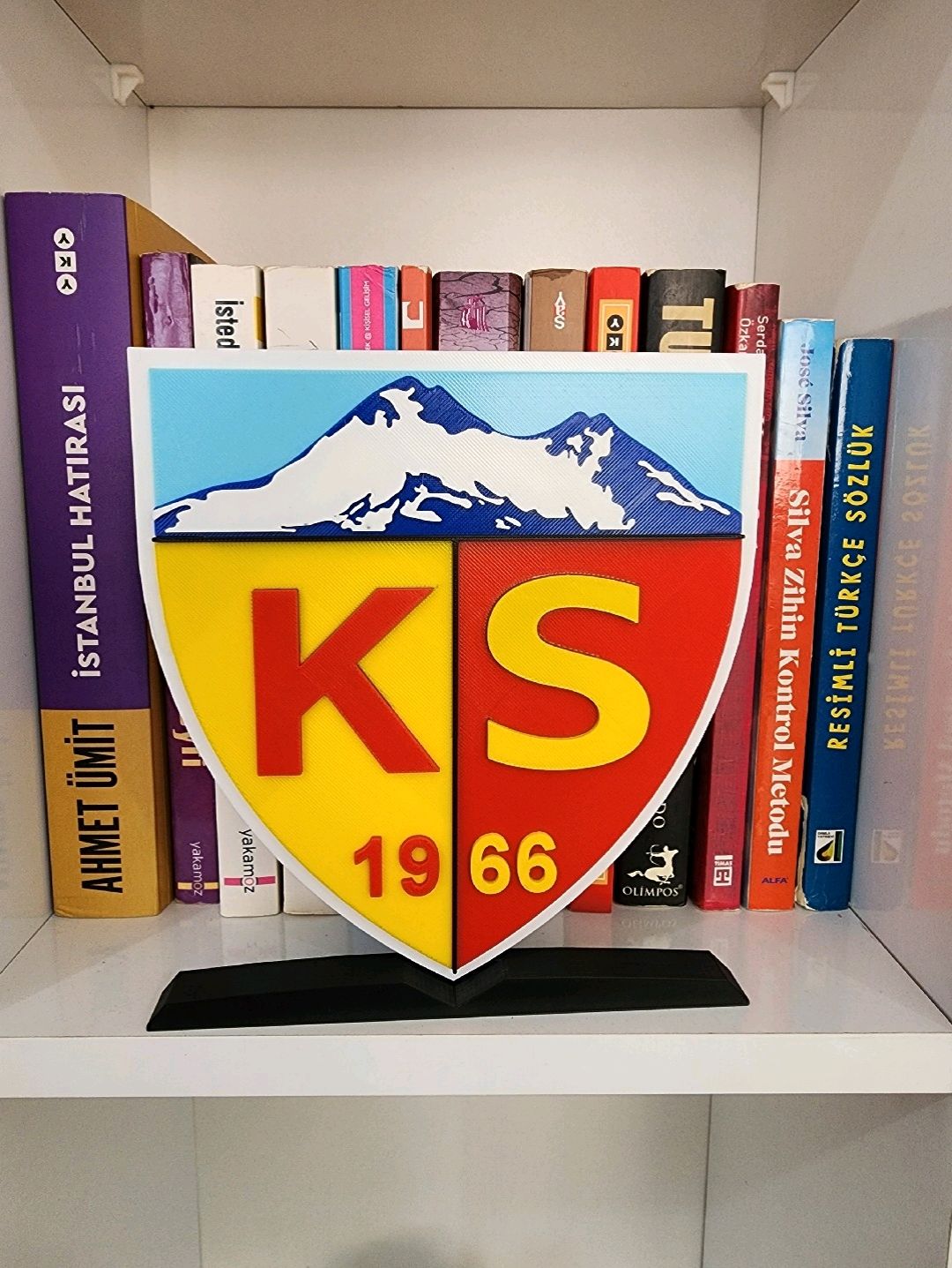kayserispor-buyuk-tip-logo-cok-renkli