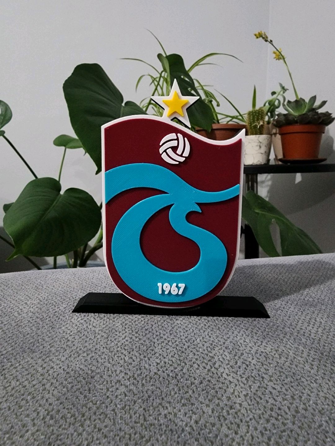 trabzonspor-buyuk-tip-logo-cok-renkli