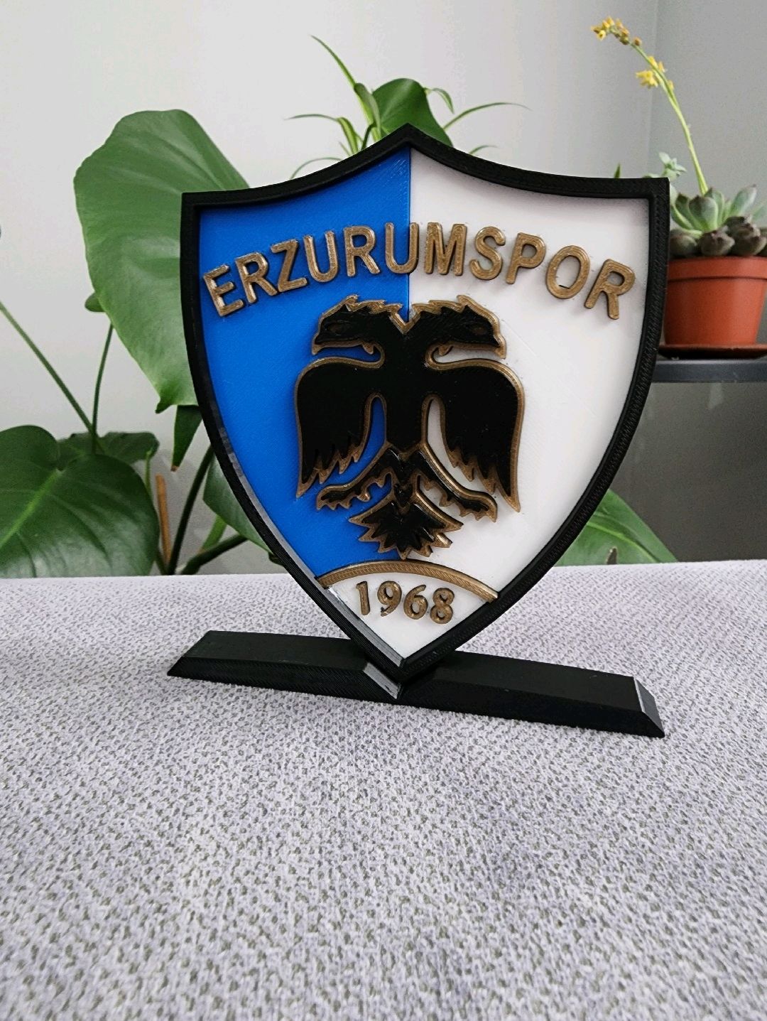 erzurumspor-logo-cok-renkli